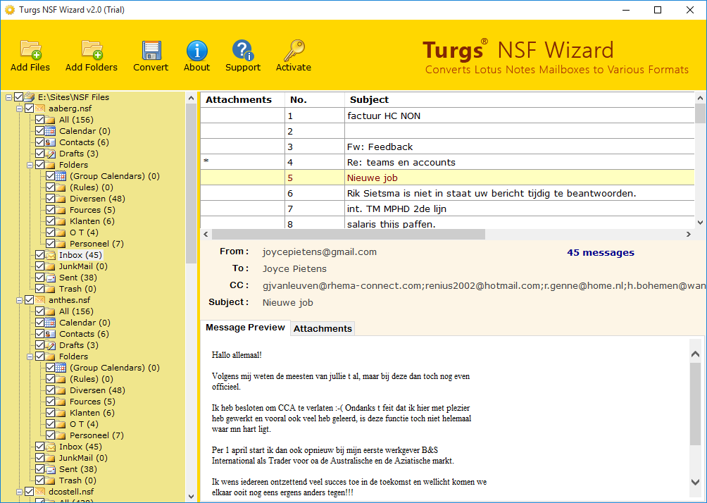 Check Preview of IBM Notes NSF File