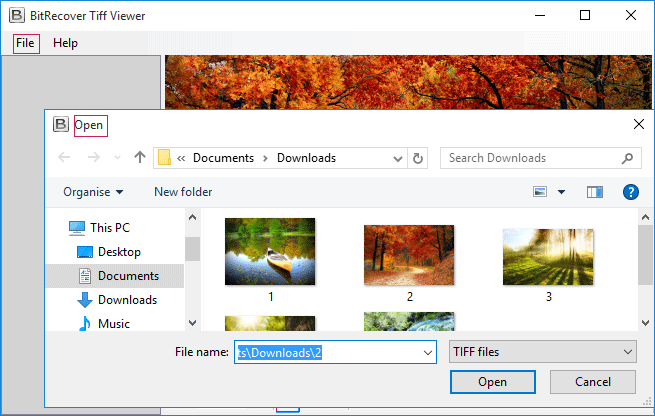 tiff viewer windows 10 free download
